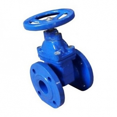 zadvizhka_mzvg_30ch39r_chugun