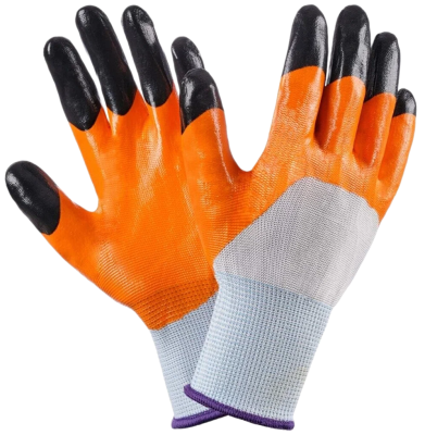 snapedit_1696845171996