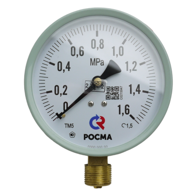 snapedit_1697788089193