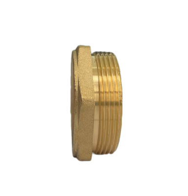 Заглушка 2" Н АСМ В525 (58)