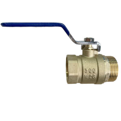 snapedit_1708502426024