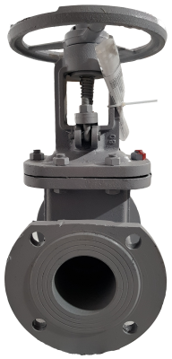 snapedit_1697527447069