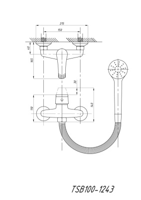 tsb_100_1243_scheme