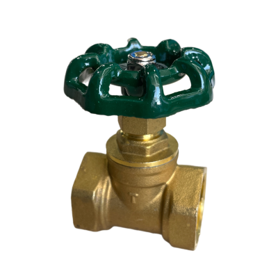 snapedit_1707977346994