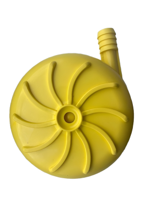 snapedit_1696252723499