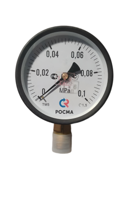 snapedit_1697788000507