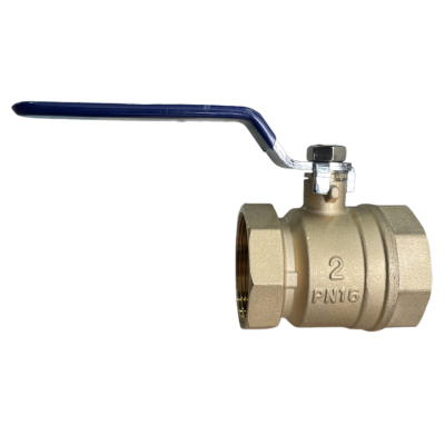 snapedit_1708501730216