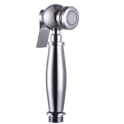 Гигиеническая лейка ROSE хром RН71