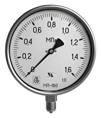 snapedit_1702971530489