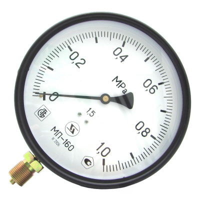 snapedit_1702971178267