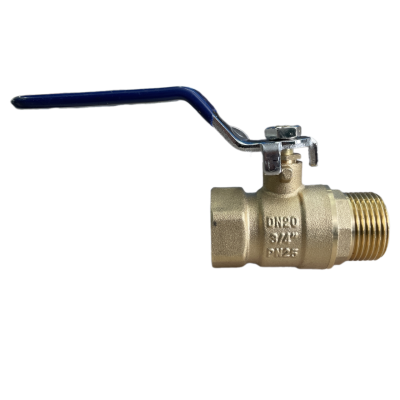 snapedit_1708502978611