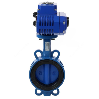 snapedit_1700139683199