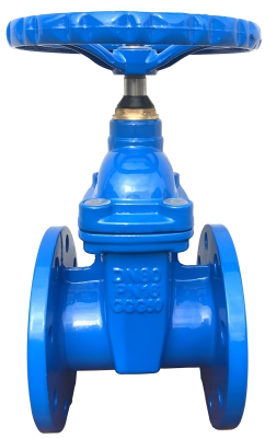 snapedit_1697528367605