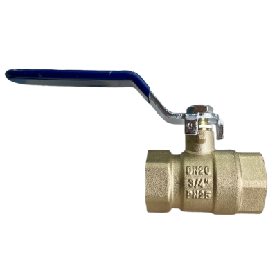 snapedit_1708502090453