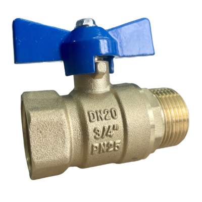 snapedit_1708500796470