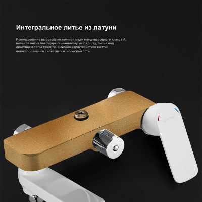 dushevaya-stojka-gappo-g2448018