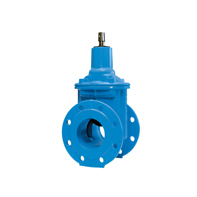 snapedit_1696230122495