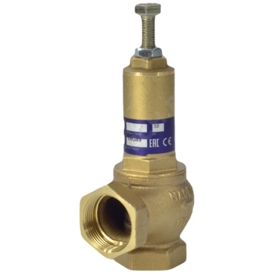 snapedit_1727076581130