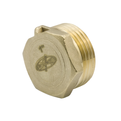 snapedit_1698243101624