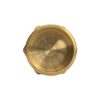 Заглушка 2" Н АСМ В525 (58)