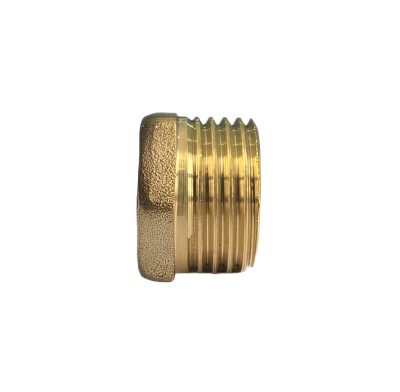 Заглушка 1/2" Н АСМ В520 (800)