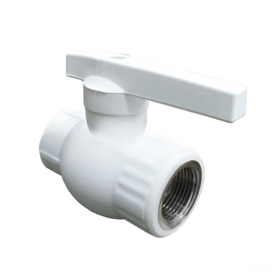 snapedit_1725887334715