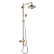 Душевая система ROSE R0236Q бронза
