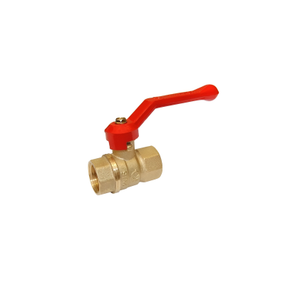 snapedit_1698305163806