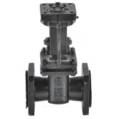 snapedit_1695906114915