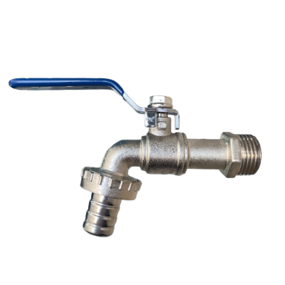 snapedit_1707980963921