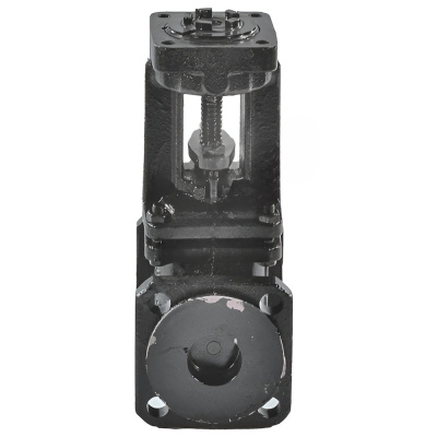 snapedit_1695906203468