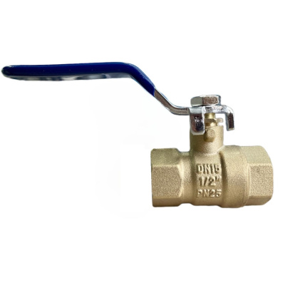 snapedit_1708503308304