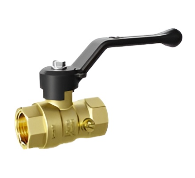 snapedit_1696230512084