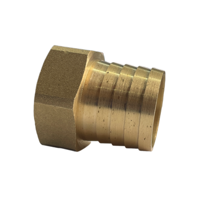 snapedit_1701076429810