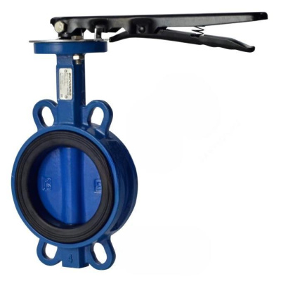 snapedit_1708335533597