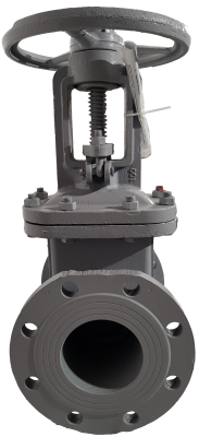 snapedit_1697526815850