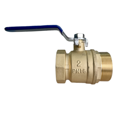 snapedit_1708501927136