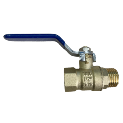 snapedit_1708502859814