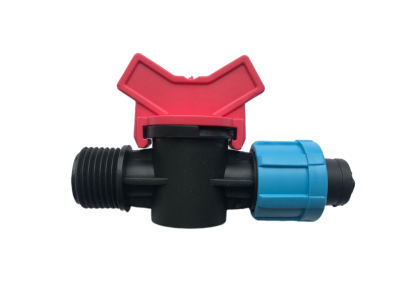 snapedit_1696252980643