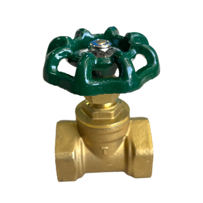 snapedit_1707977359648