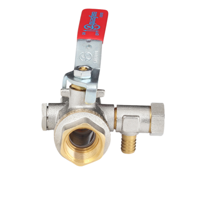 snapedit_1710336712934