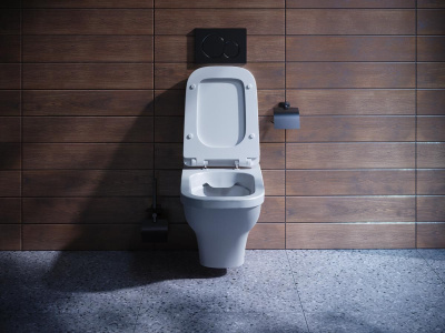 chasha-santek-unitaz-bezobodkovyj-podvesnoj-lajn-rimless-1wh501574-interier